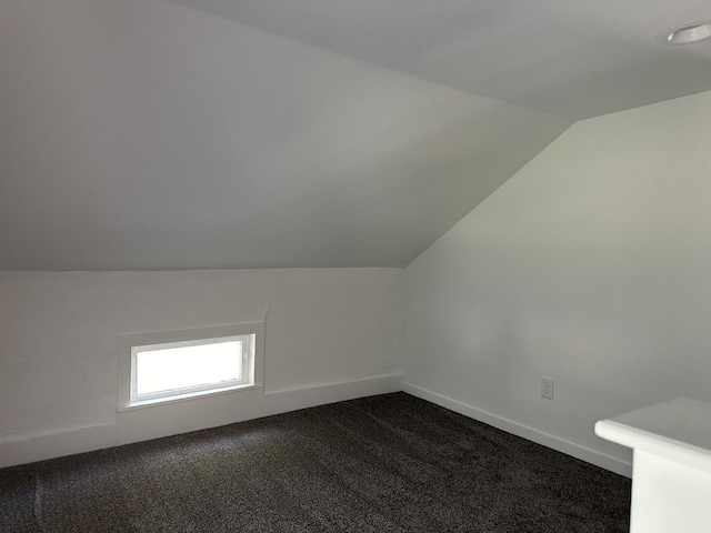 1453 S Oak Ave, Freeport, IL 61032 - bonus room with lofted ceiling and dark carpet