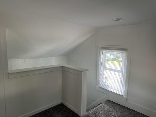 1453 S Oak Ave, Freeport, IL 61032 - bonus room featuring lofted ceiling and dark carpet