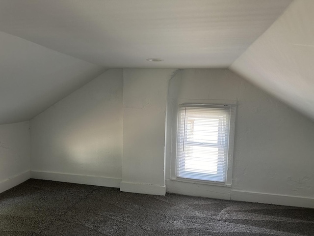 1453 S Oak Ave, Freeport, IL 61032 - additional living space with vaulted ceiling and carpet floors