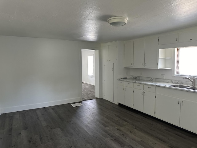 1453 S Oak Ave, Freeport, IL 61032 - kitchen with plenty of natural light, dark wood-style flooring, light countertops, and open shelves