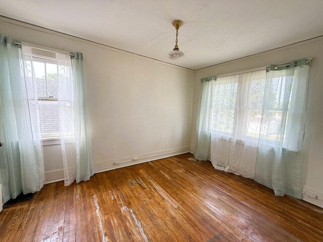 207 College Ave, Dixon, IL 61021 - empty room with hardwood / wood-style flooring and baseboards