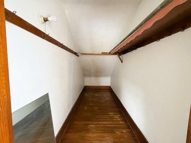 207 College Ave, Dixon, IL 61021 - walk in closet with lofted ceiling and dark wood finished floors