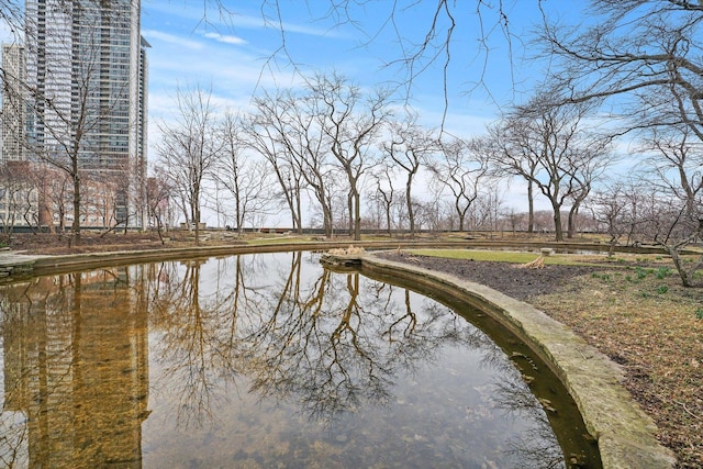 505 N Lake Shore Dr Unit 518, Chicago, IL 60611 - photo 15