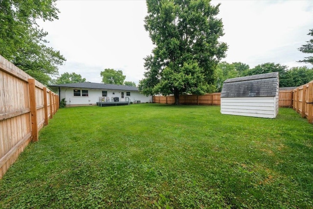 305 E Marshall St, Tolono, IL 61880 - fenced backyard featuring a storage shed