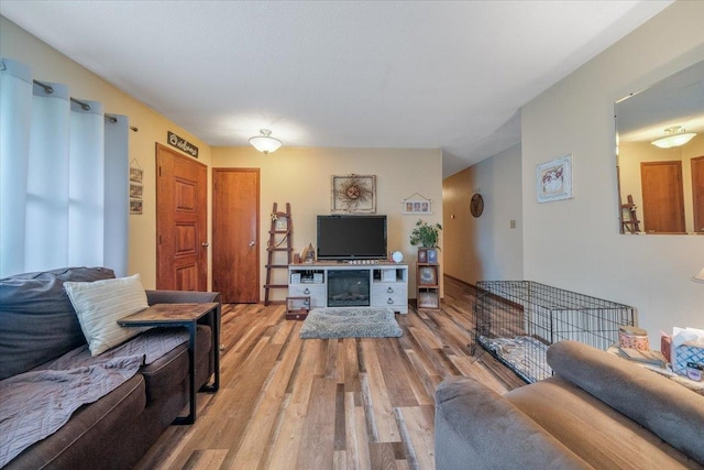 305 E Marshall St, Tolono, IL 61880 - living room featuring wood finished floors