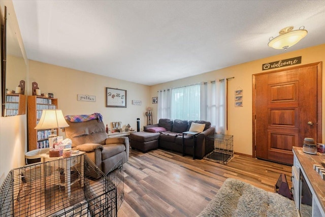 305 E Marshall St, Tolono, IL 61880 - living room with wood finished floors