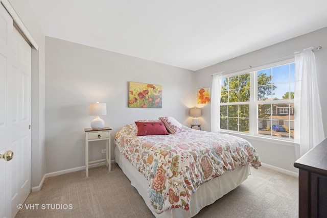 950 Genesee Dr, Naperville, IL 60563 - bedroom with carpet flooring and a closet