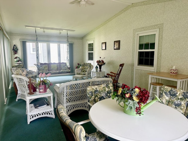 411 1st Ave, Ottawa, IL 61350 - sunroom / solarium with track lighting and vaulted ceiling