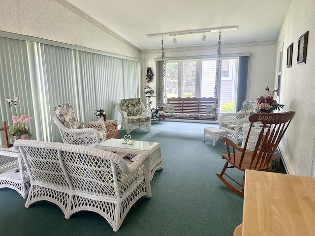 411 1st Ave, Ottawa, IL 61350 - sunroom featuring lofted ceiling and rail lighting