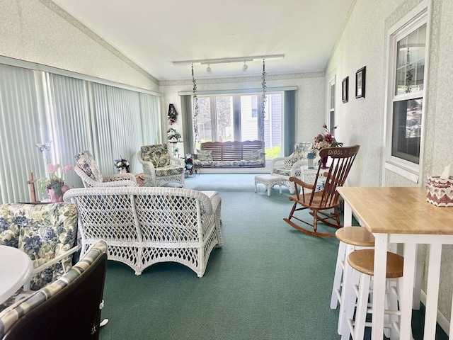 411 1st Ave, Ottawa, IL 61350 - sunroom with vaulted ceiling and track lighting