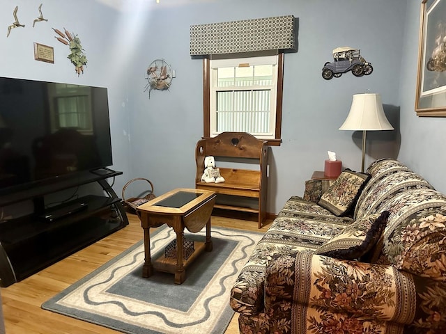 411 1st Ave, Ottawa, IL 61350 - living area featuring wood finished floors