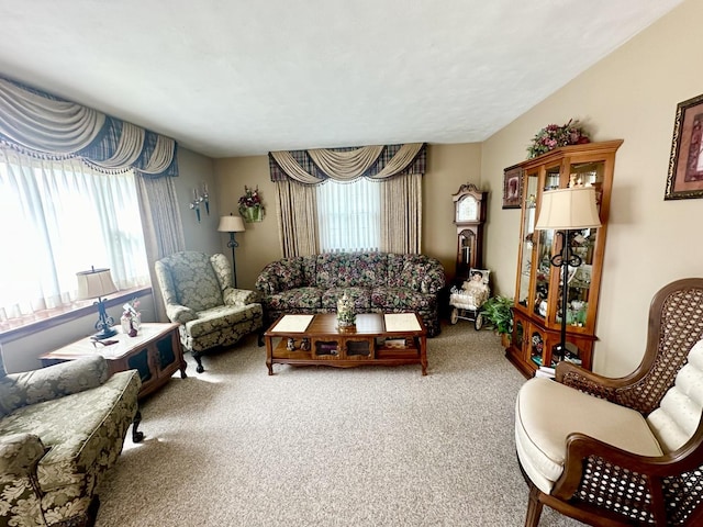411 1st Ave, Ottawa, IL 61350 - living area featuring carpet floors