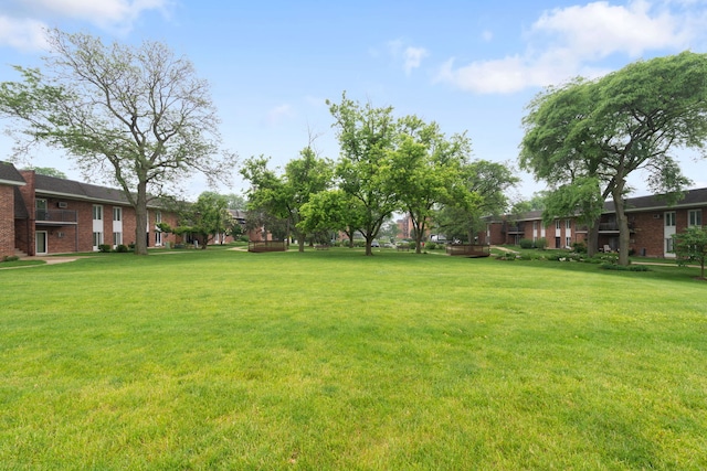 view of green lawn