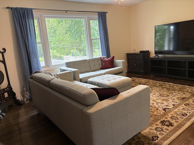 535 N Midlothian Rd, Mundelein, IL 60060 - living room featuring dark wood-type flooring