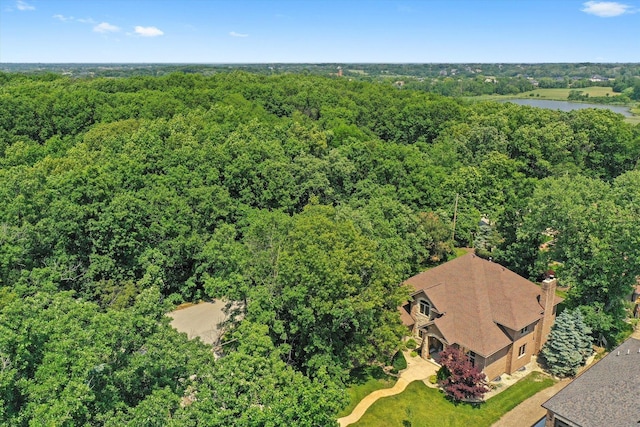 15501 116th Ct, Orland Park, IL 60467 - drone / aerial view of a heavily wooded area and a nearby body of water