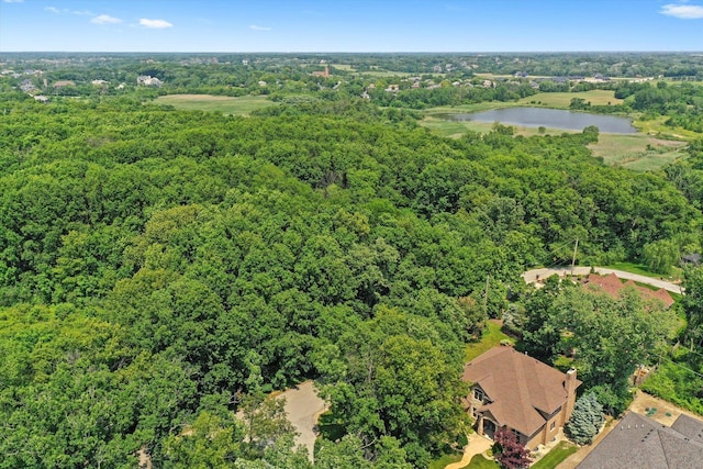 15501 116th Ct, Orland Park, IL 60467 - bird's eye view of a nearby body of water and a heavily wooded area