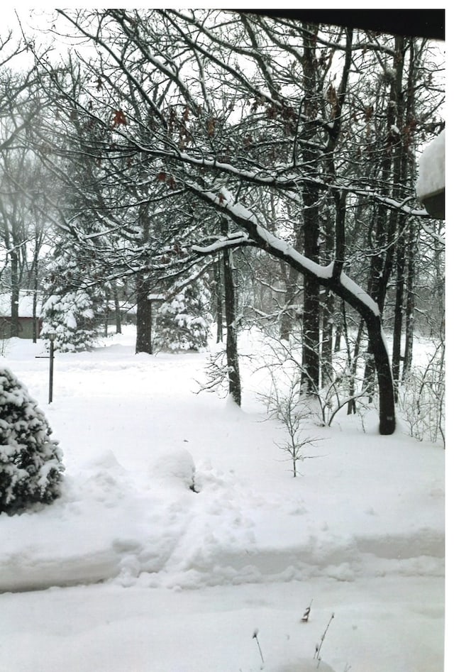 15501 116th Ct, Orland Park, IL 60467 - view of snowy yard