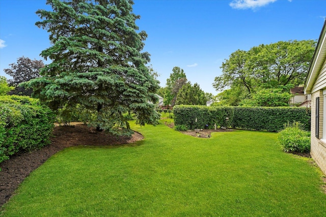 1554 Chickasaw Dr, Naperville, IL 60563 - view of green lawn