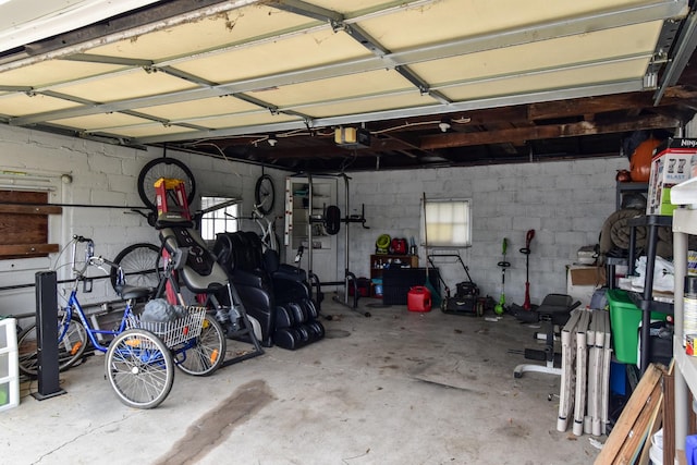 109 E Seminole St, Dwight, IL 60420 - garage with concrete block wall and a garage door opener