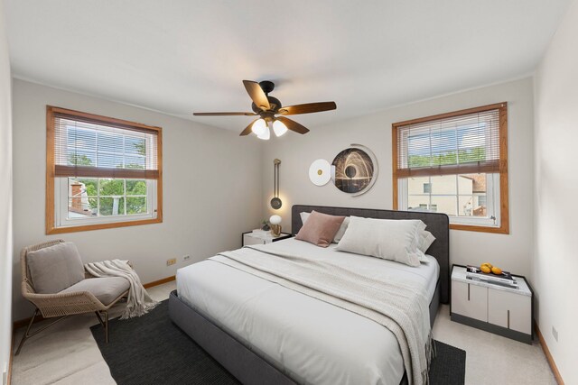 1335 Chalfont Dr, Schaumburg, IL 60194 - photo 17