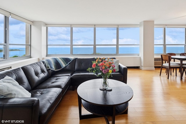 3550 N Lake Shore Dr Unit 1901, Chicago, IL 60657 - living room featuring hardwood / wood-style floors