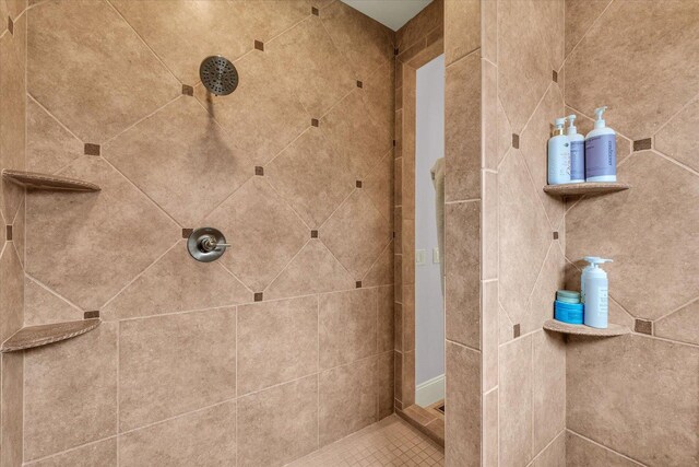 4905 Peifer Ln, Champaign, IL 61822 - bathroom featuring a tile shower