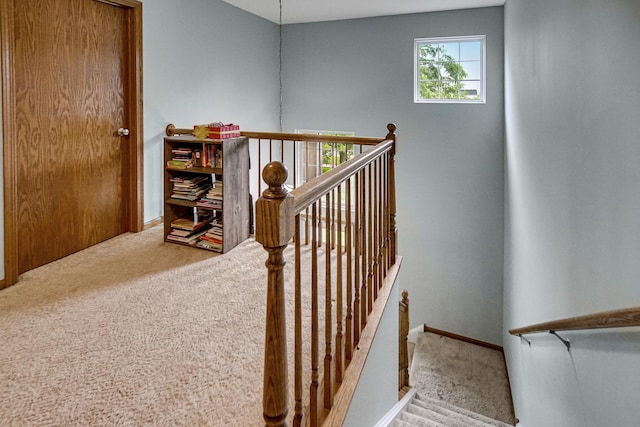 8304 Trumbull Ave, Joliet, IL 60431 - staircase with carpet flooring and baseboards