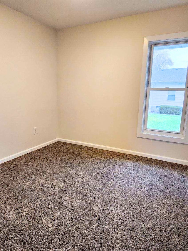 287 N Illinois Ave, Kankakee, IL 60901 - photo 9