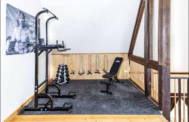 9439 Corneils Rd, Bristol, IL 60512 - workout room featuring wooden walls