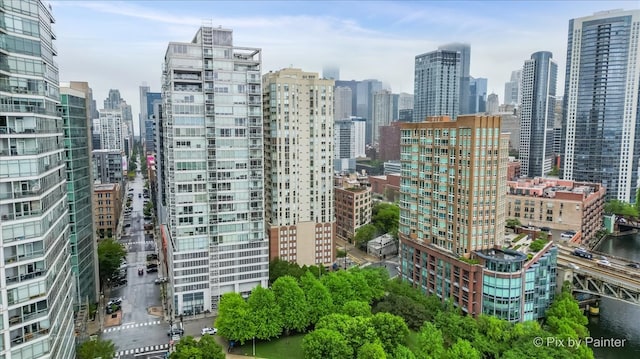 653 N Kingsbury St Unit 706, Chicago, IL 60654 - skyline view with a nearby body of water
