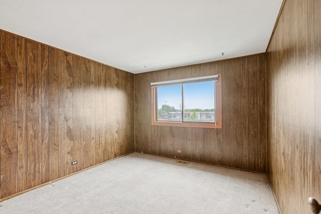 12 N Waterford Dr Unit 0, Schaumburg, IL 60194 - carpeted empty room featuring wooden walls