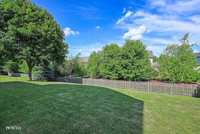 13311 Morning Mist Pl, Plainfield, IL 60585 - view of fenced yard