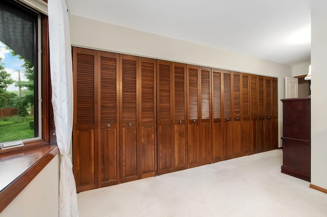 440 E Walnut St, Roselle, IL 60172 - unfurnished bedroom with carpet