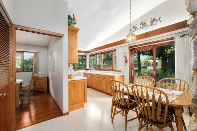 440 E Walnut St, Roselle, IL 60172 - dining space featuring high vaulted ceiling and a chandelier