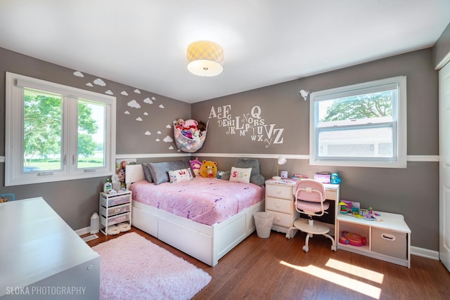 106 Grand Central Ln, Schaumburg, IL 60193 - bedroom featuring multiple windows and wood finished floors