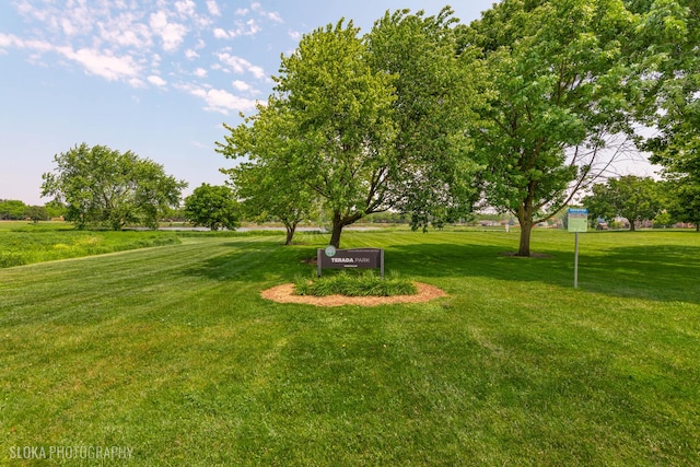 106 Grand Central Ln, Schaumburg, IL 60193 - view of grassy yard
