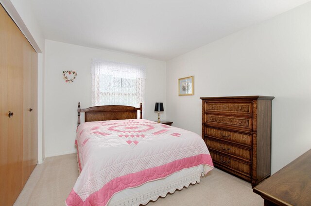 2811 N Harvard Ave, Arlington Heights, IL 60004 - bedroom with light colored carpet and a closet