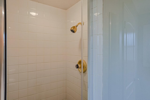 1831 E Camp Mcdonald Rd Unit 0, Mount Prospect, IL 60056 - bathroom view of a shower stall