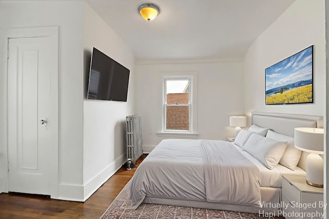 1504 W Monroe St, Waukegan, IL 60085 - bedroom with radiator and dark wood-type flooring