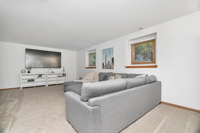 5024 Switch Grass Ln, Naperville, IL 60564 - living room with carpet floors