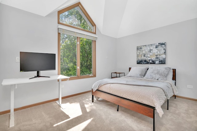 5024 Switch Grass Ln, Naperville, IL 60564 - carpeted bedroom with lofted ceiling and baseboards