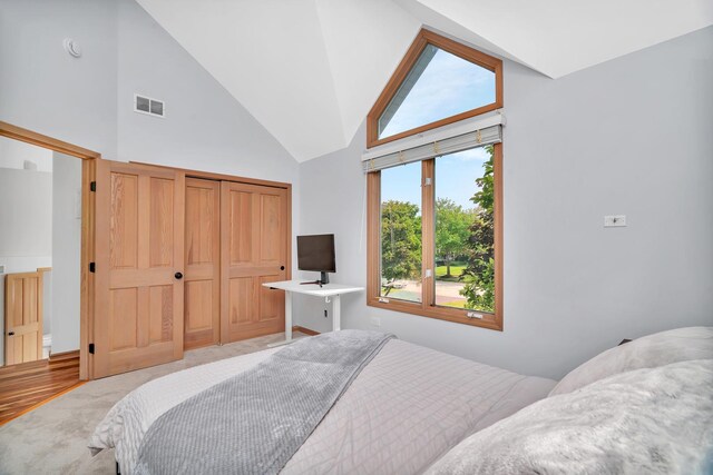5024 Switch Grass Ln, Naperville, IL 60564 - bedroom featuring high vaulted ceiling and a closet