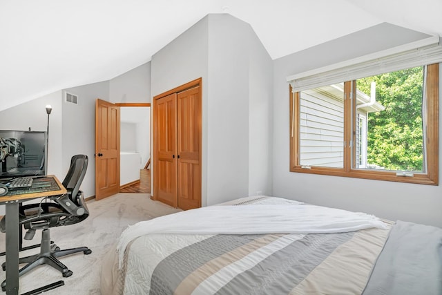 5024 Switch Grass Ln, Naperville, IL 60564 - bedroom featuring vaulted ceiling, light colored carpet, an office area, and a closet