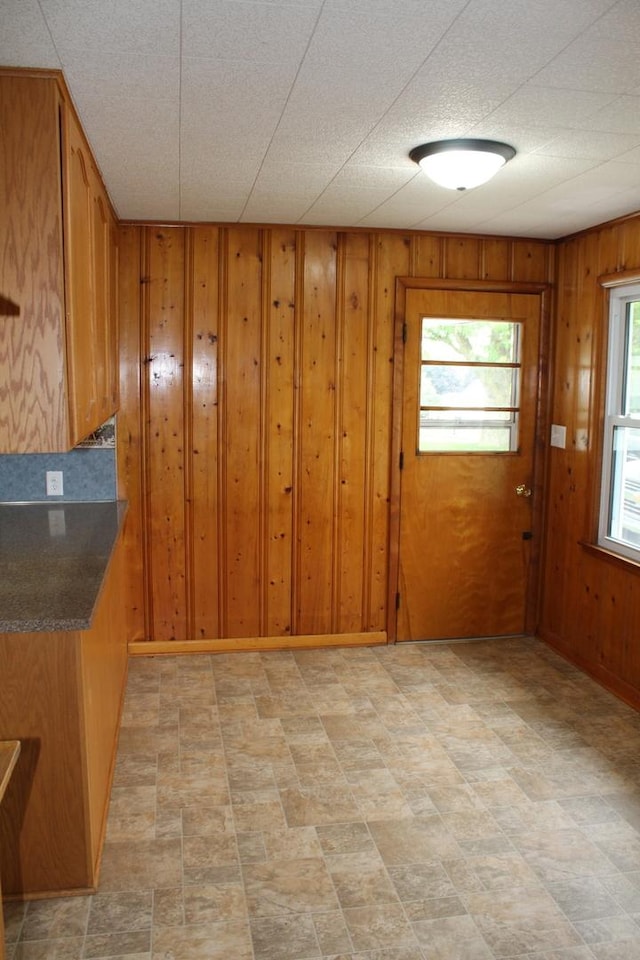 207 Cedar Dr, Clinton, IL 61727 - unfurnished dining area featuring wooden walls