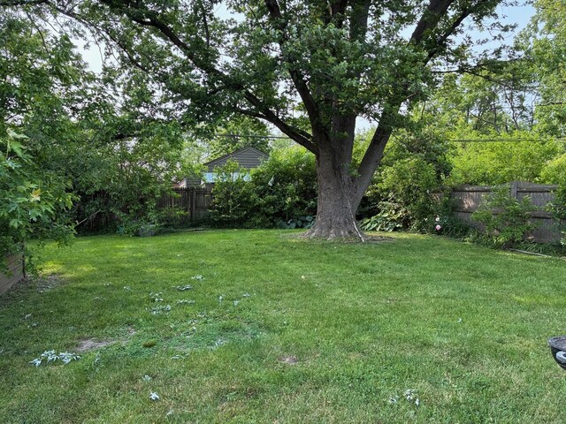 314 Meota St, Park Forest, IL 60466 - view of yard