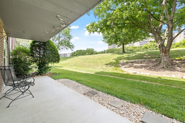 5540 Walnut Ave Unit 9A, Downers Grove, IL 60515 - view of patio / terrace