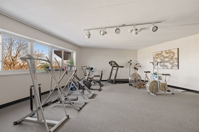 5540 Walnut Ave Unit 9A, Downers Grove, IL 60515 - workout room with rail lighting and carpet floors