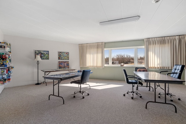 5540 Walnut Ave Unit 9A, Downers Grove, IL 60515 - view of carpeted home office
