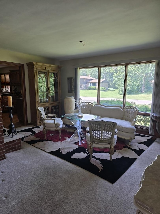 842 Highview Ave, Olympia Fields, IL 60461 - living room featuring carpet