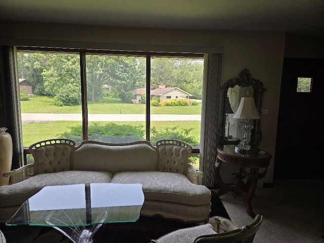 842 Highview Ave, Olympia Fields, IL 60461 - view of carpeted living room